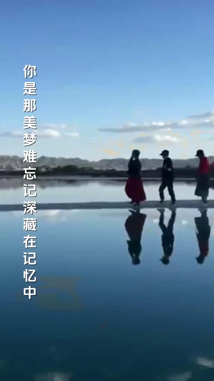 今夜微风轻送把我的心吹动，多少尘封的往日情重回到我心中。往事随风飘送把我的心刺痛