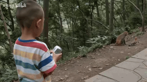 猴子一脸懵。
“小孩，你家大人呢，多少赔点吧。”