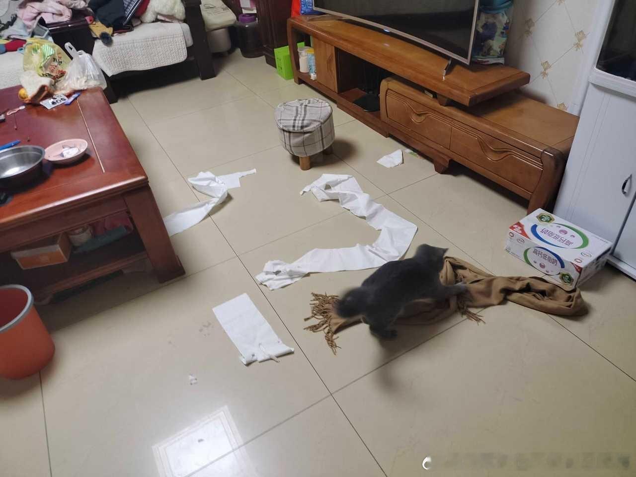 49253【心灵丑】
