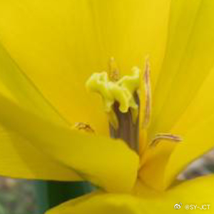 每日一善每日一善 拥有宁静的心灵，才能发现意想不到的美。只要心是晴朗的，人生就没