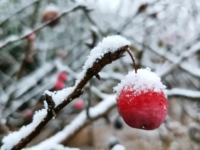 上联：春风春雨春花艳，
下联：冬霜冬雪冬梅红