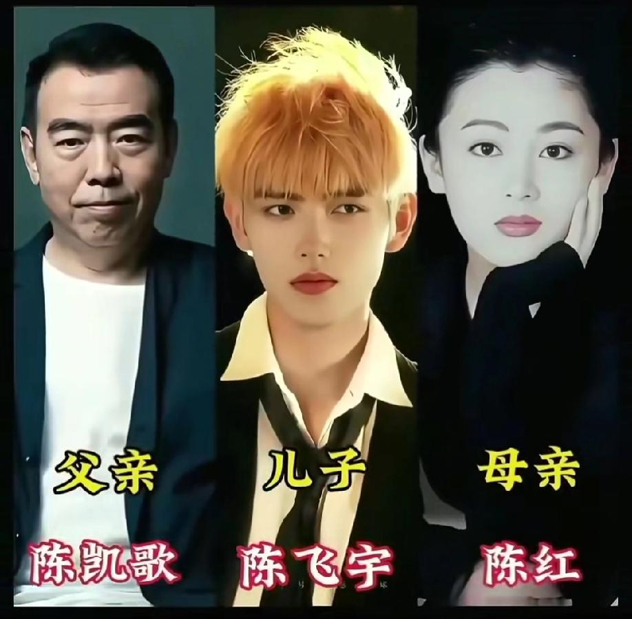 明星儿女大对比，像父亲多，还是像母亲多？
哪家儿子最帅，谁的女儿最漂亮？女明星女