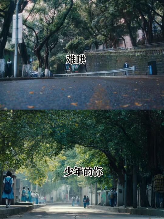 这是小北保护陈念的那条路吗？？