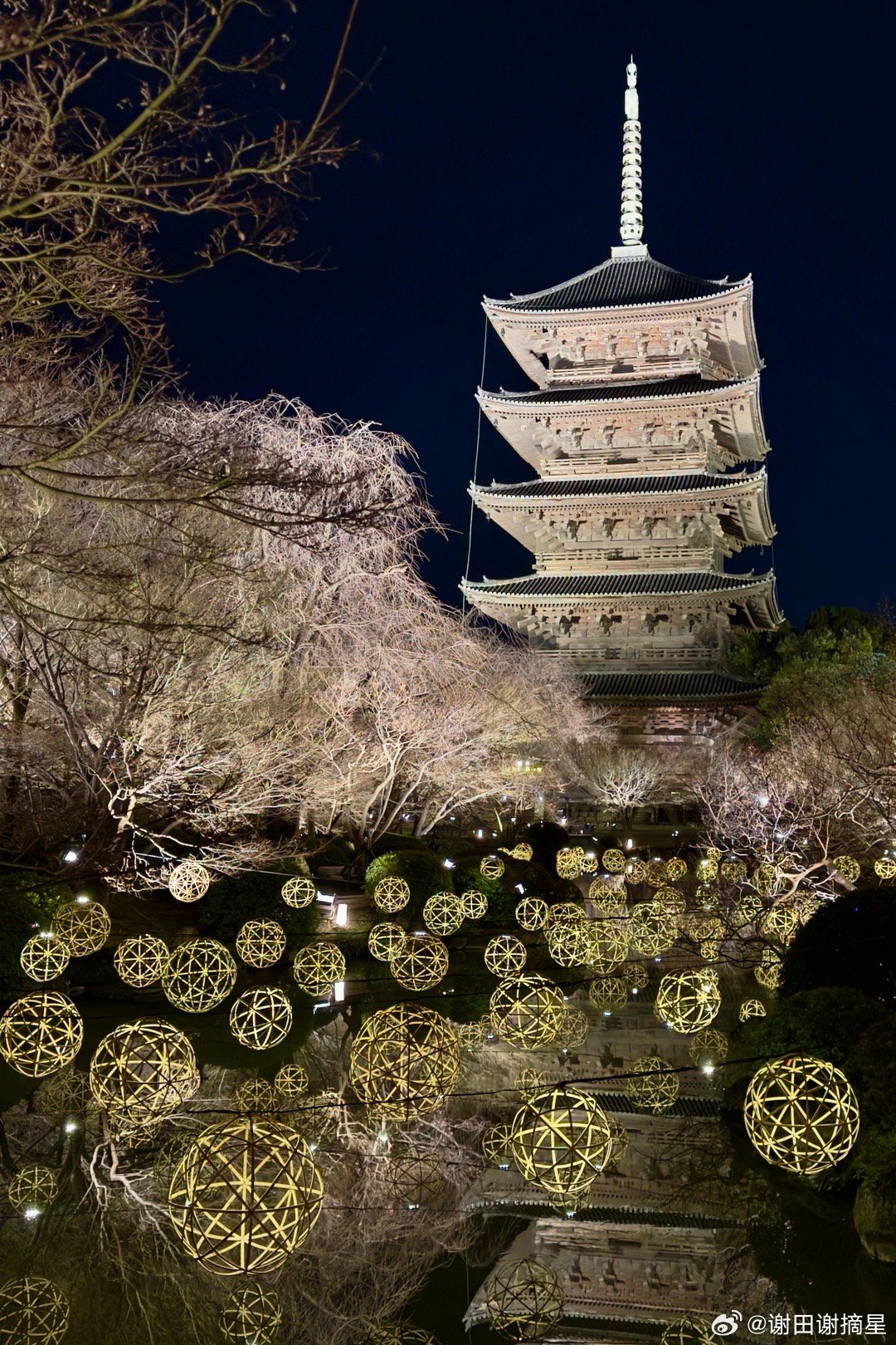 新春夜灯会，东寺月回廊又是绚烂的一天谢田的环球足迹