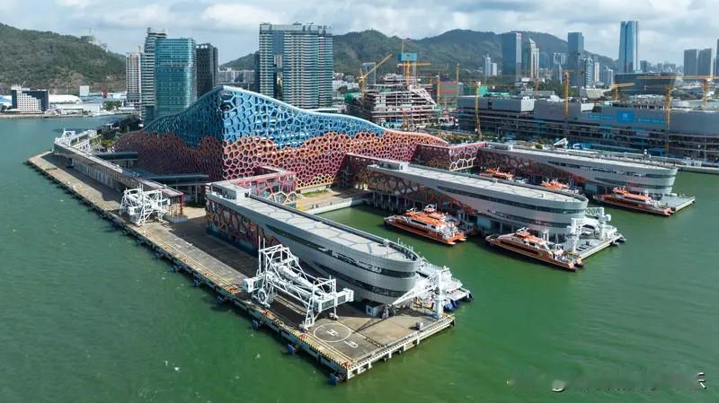 今年一季度，深圳国际邮轮母港客流量达110万人次，同比增长6%。其中，春运期间开