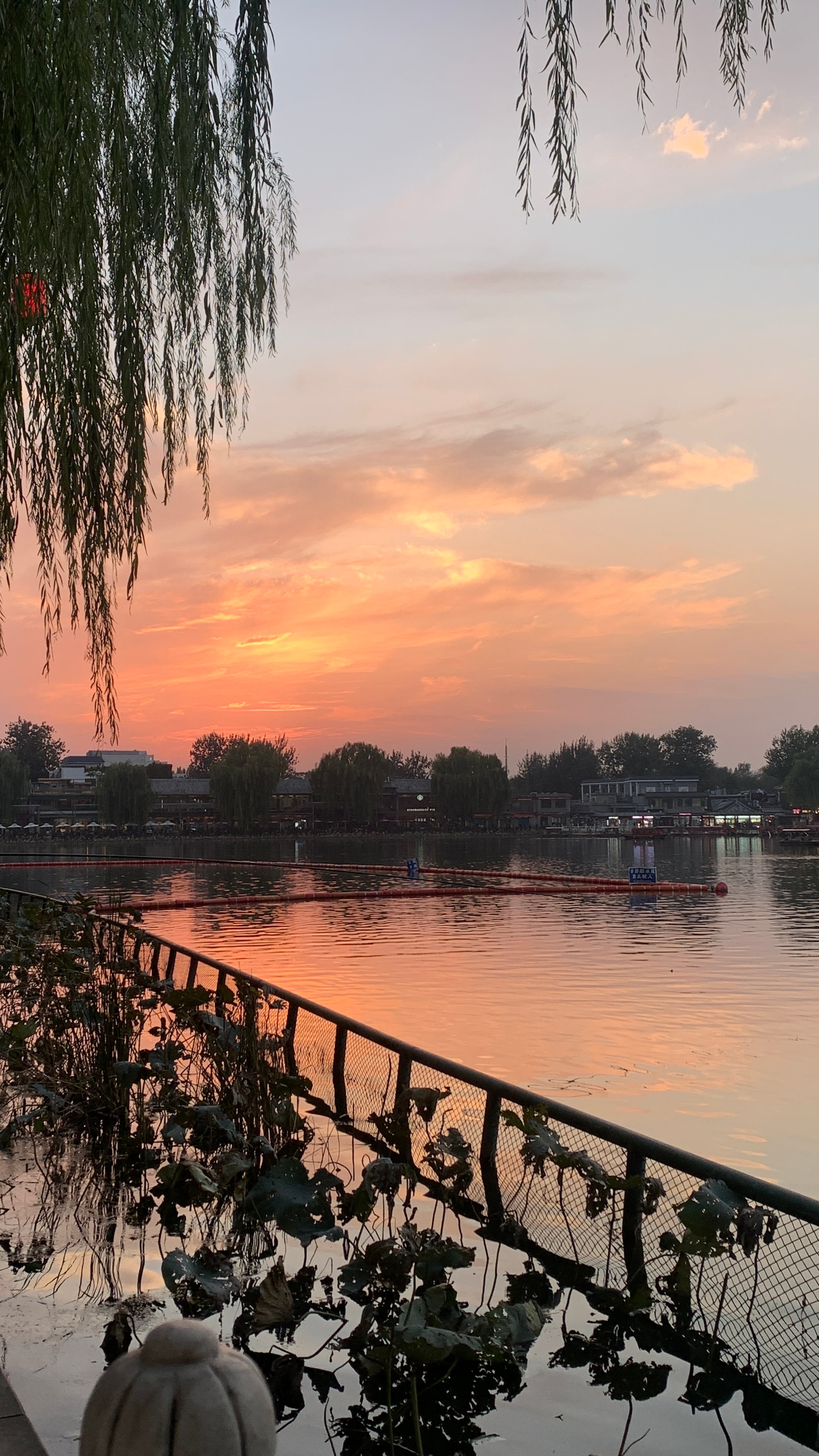 终于歇下了！分享一下今天的什刹海[嘻嘻] ​​​