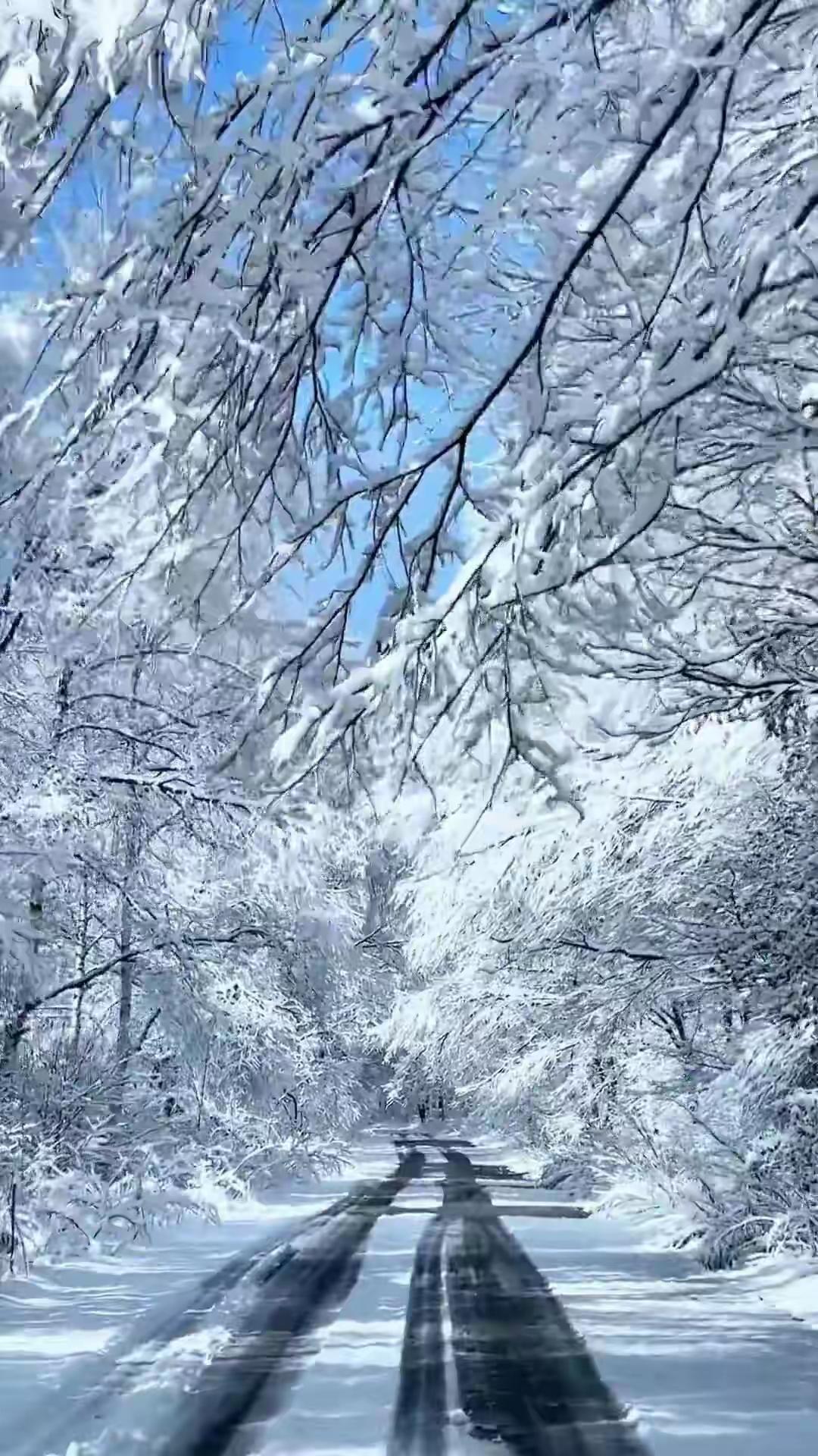 上联:清清楚楚看清楚，试对下联明明白白看明白