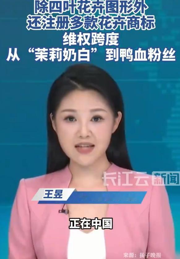 江苏，国际奢侈品牌LV正以其标志性四叶花卉图案，在中国密集发起商标诉讼。先是去年