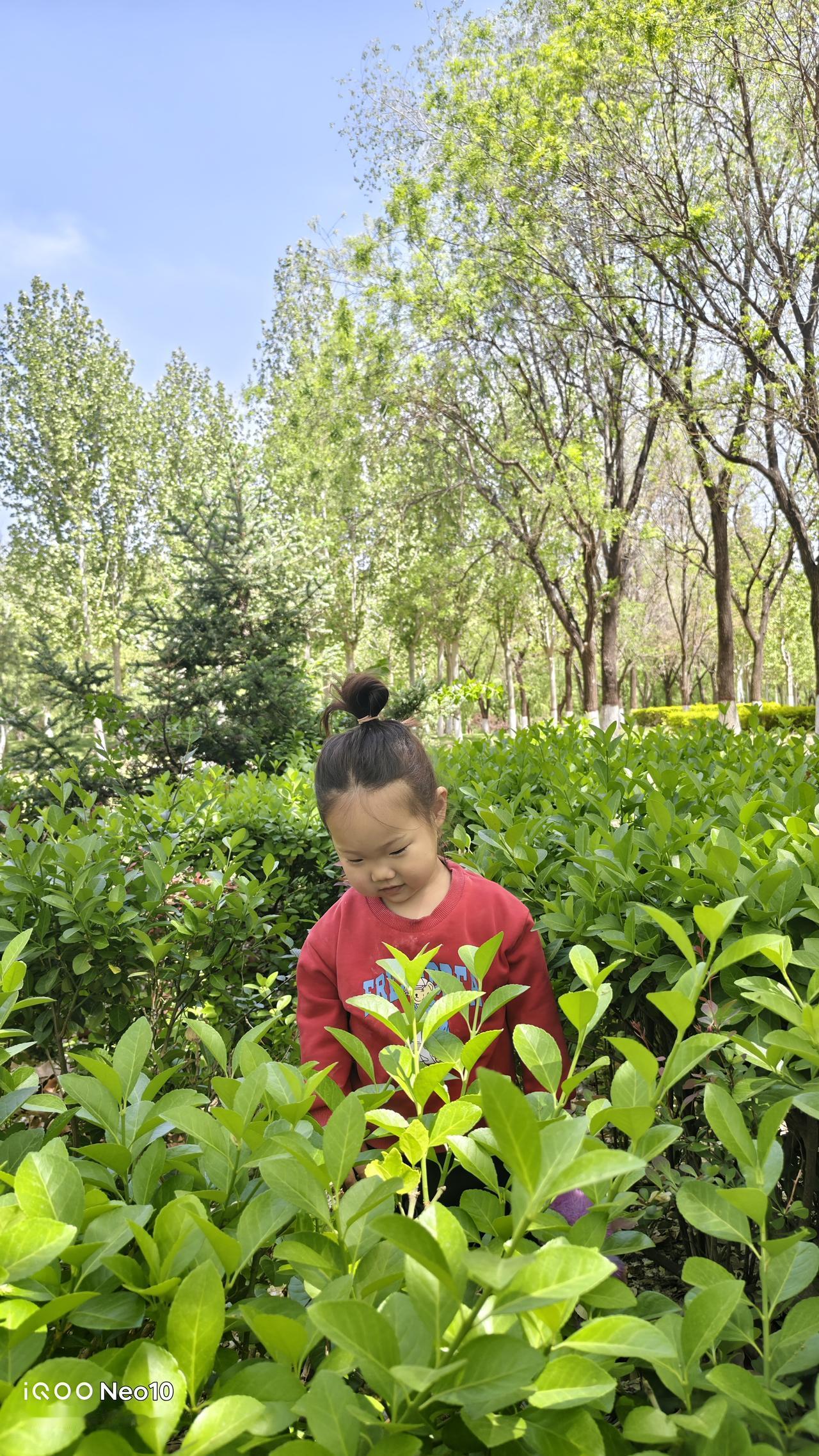 如果是我，我会从以下四个维度来晒出春日格调：
1. 捕捉“半开”的意象（留白美学