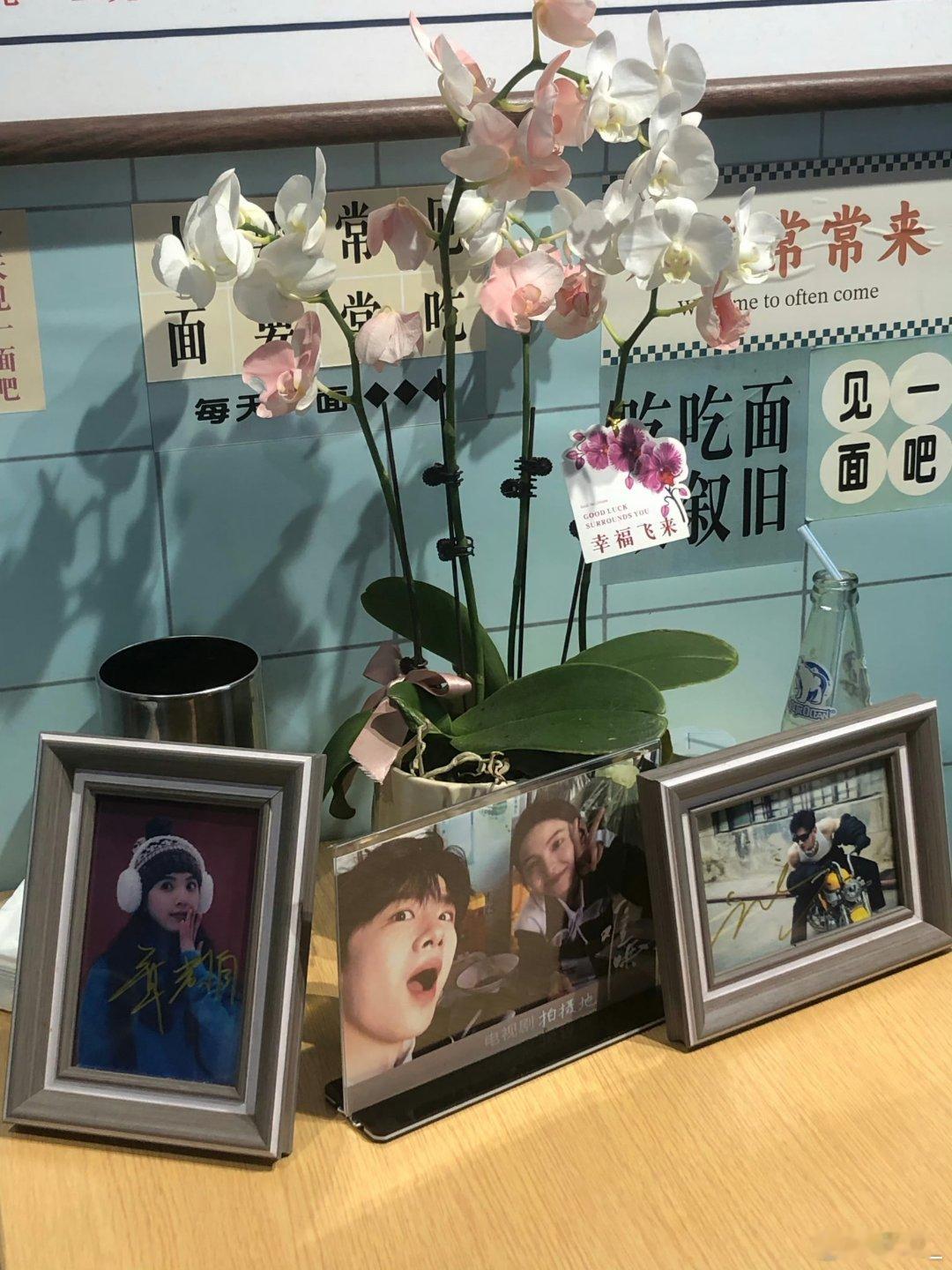  难哄bgm一响 重庆返场 十一重庆满是《难哄》粉！打卡白敬亭章若楠同款地，洪崖