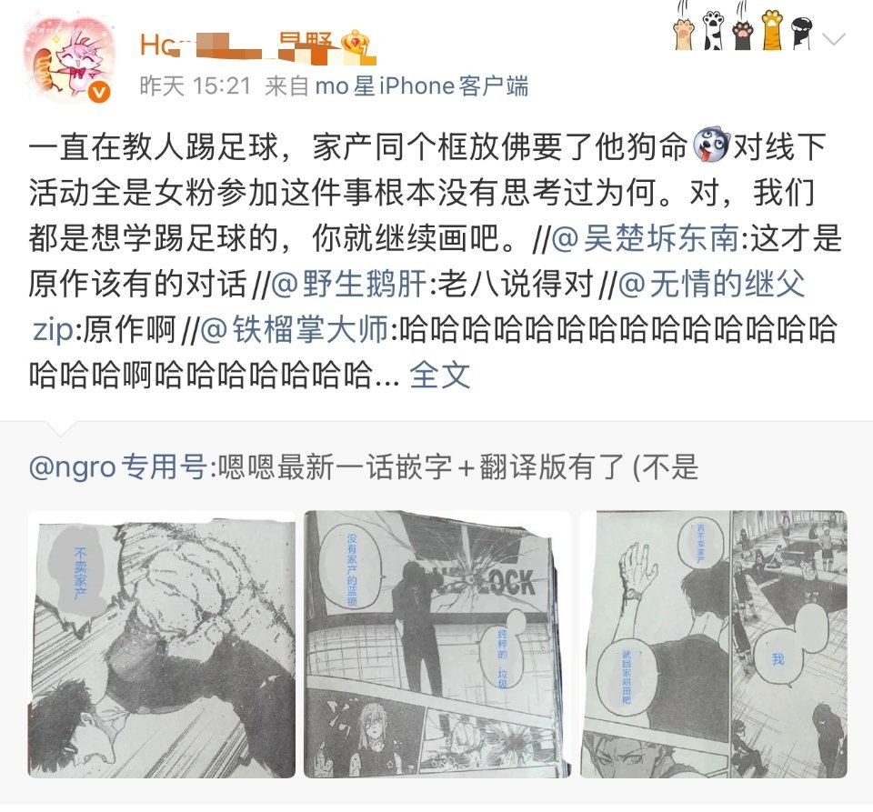 线下女粉全都是摆子婆，没有任何单推和其他cp粉，不磕摆子的都被开除女籍了 