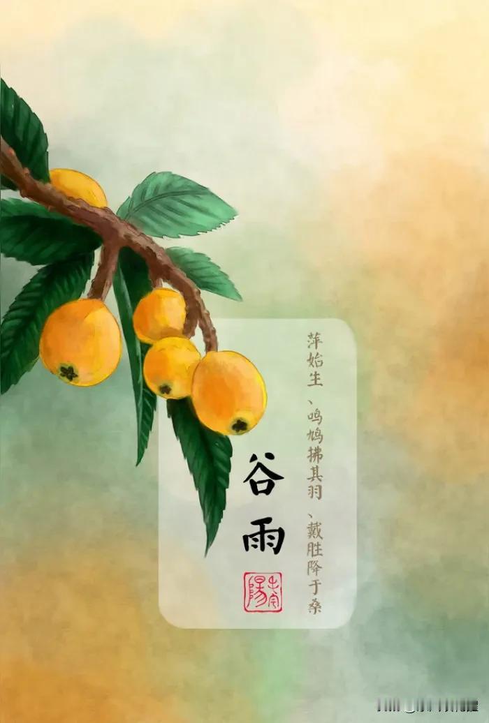 杨花柳絮随风舞，
雨生百谷夏将至。
今天是谷雨节气，是中国传统二十四节气中的第六