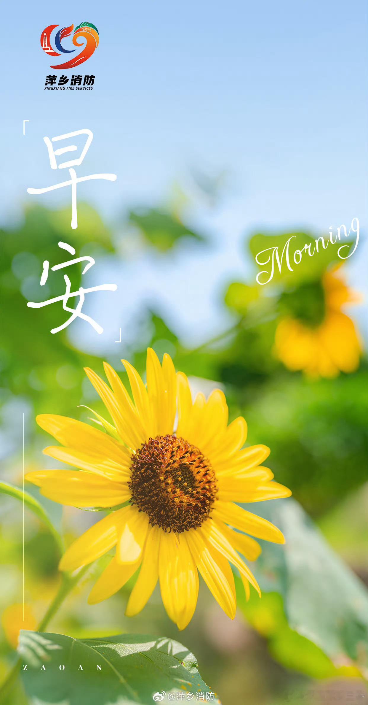 0906四月再见，五月你好！一年已经过去三分之一，剩余三分之二，要顺遂！💙 