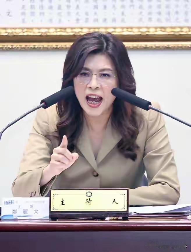 针对赖清德发表的施政相关讲话，郑丽文公开提出严厉批评，直言其内容存在诸多不实之处