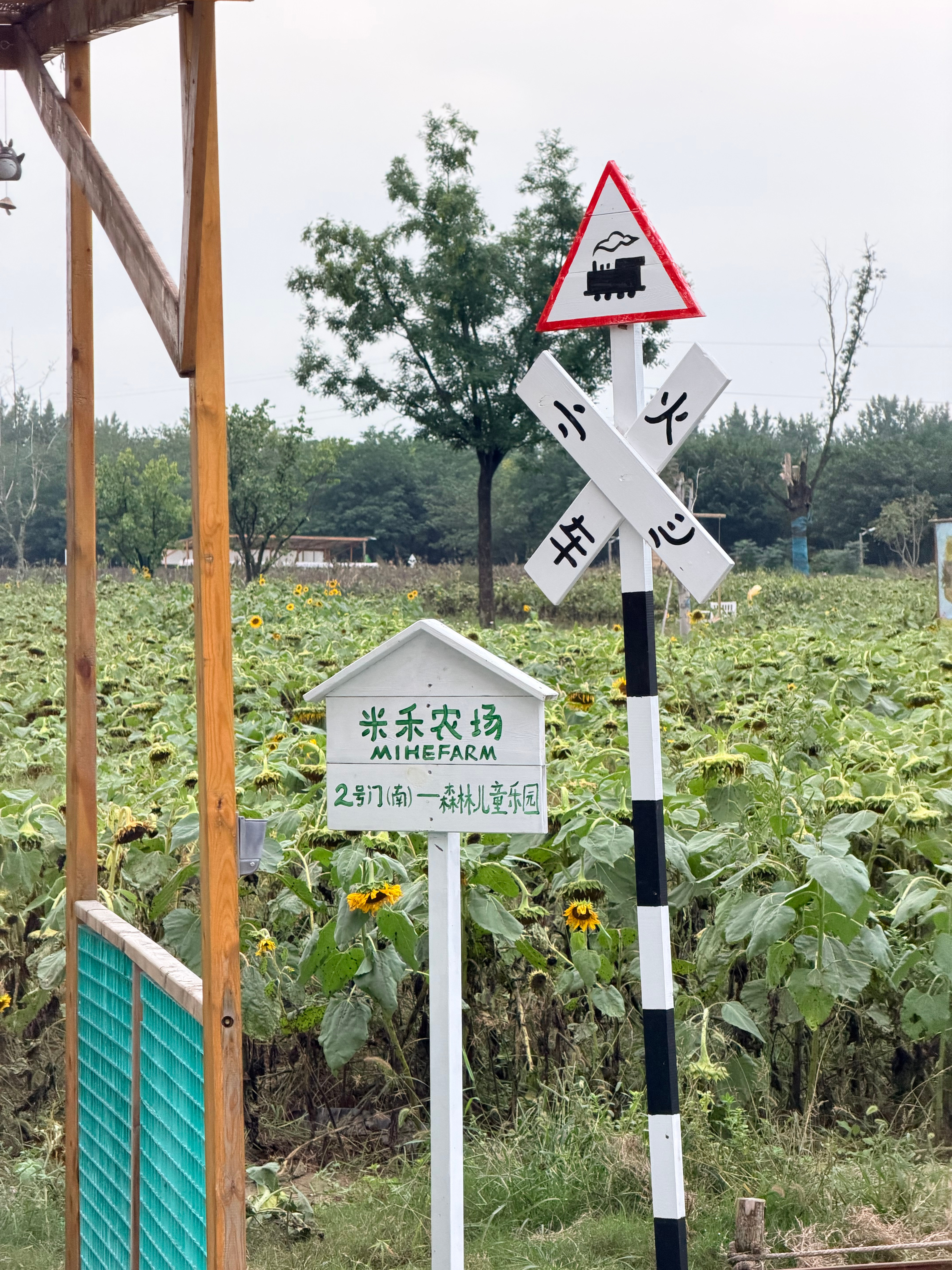 人生啊，就是不断的告别和重逢 ​​​