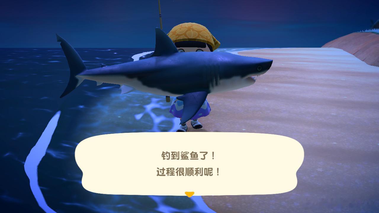 今晚啥运气。上去就钓到🦈 