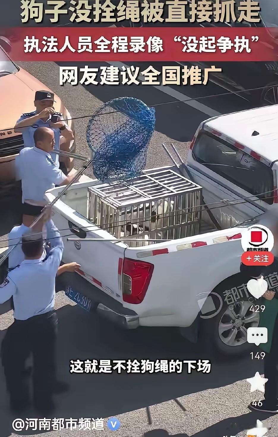 不是不让大家养狗，你养了就要管理，你要是不管的话，就只有找专业捕狗队来帮你捕，要