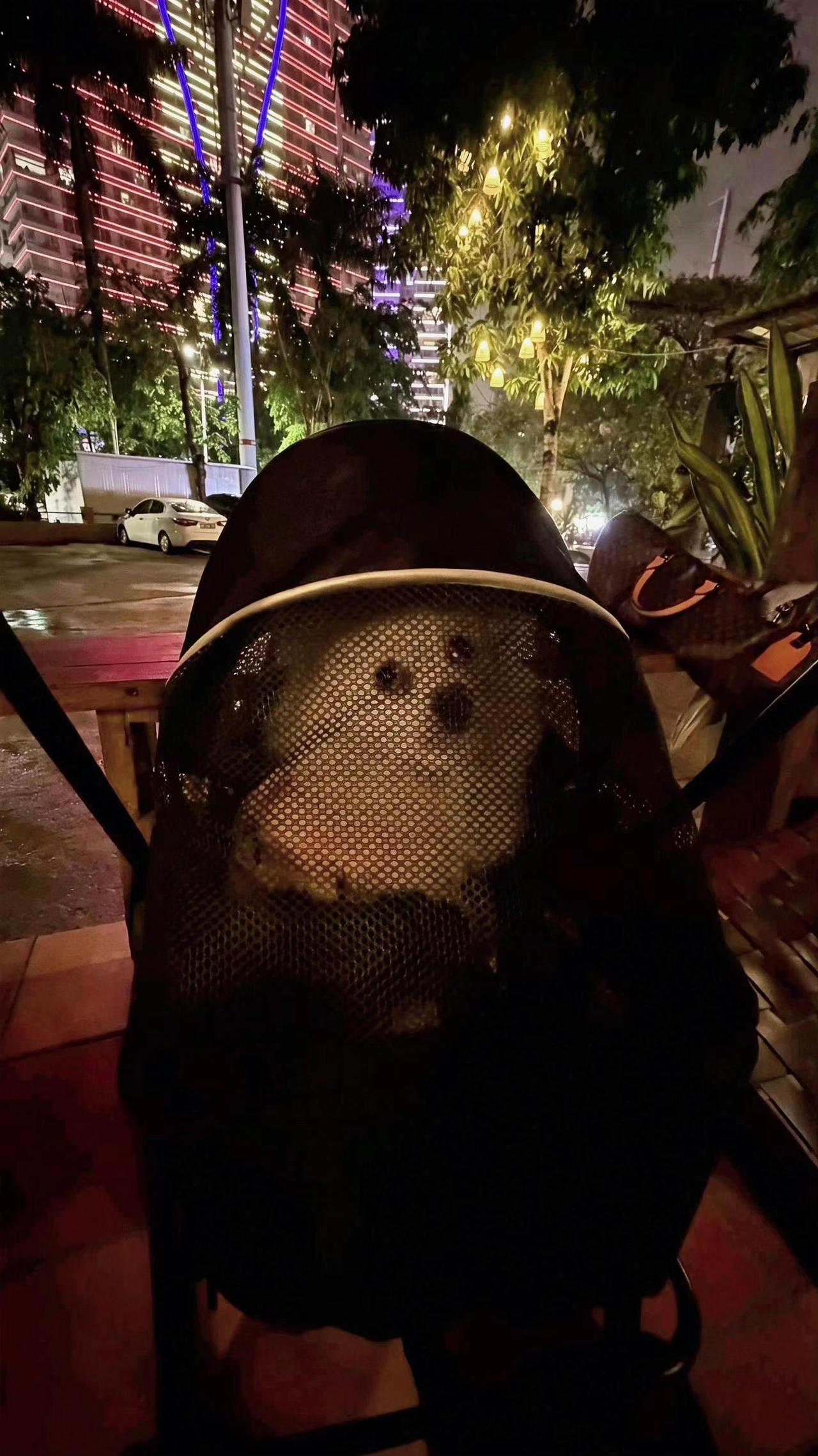 🌃夜色是温柔的罩子，把小脑袋藏进星光里✨。推车里的宇宙，比霓虹更闪烁💫。