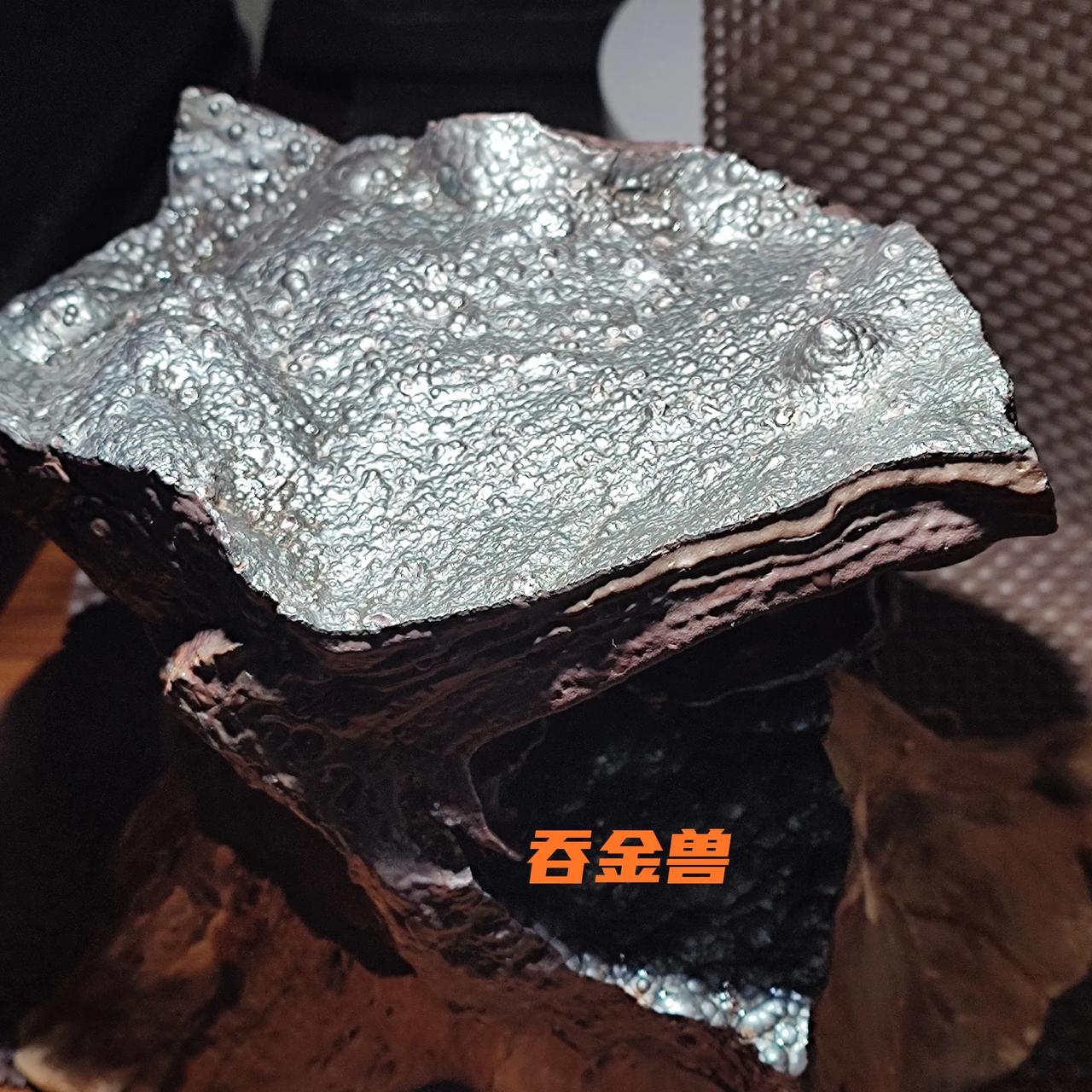新疆戈壁发现一原石，天然形似吞金兽，深褐体表覆风蚀纹，脊背、张口神态毕现，浑然天