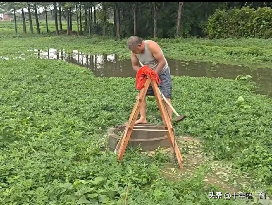 近日来，河南暴雨频下，农村人担心作物被淹死了，不得已把地里积水引留到浇水里。这是