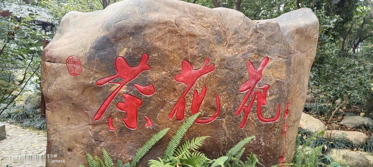 退休的散漫生活
经过几十年的沉淀，再也没有了匆匆忙忙的劲头，不再轰轰烈烈，不再寻