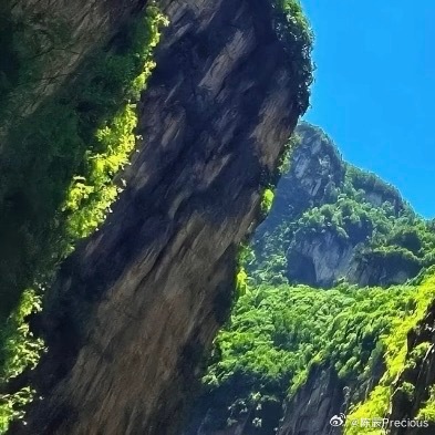 每日一善每日一善 人生行路，才华与财富终是外物，最难得的，是一份恪守本心的诚信。