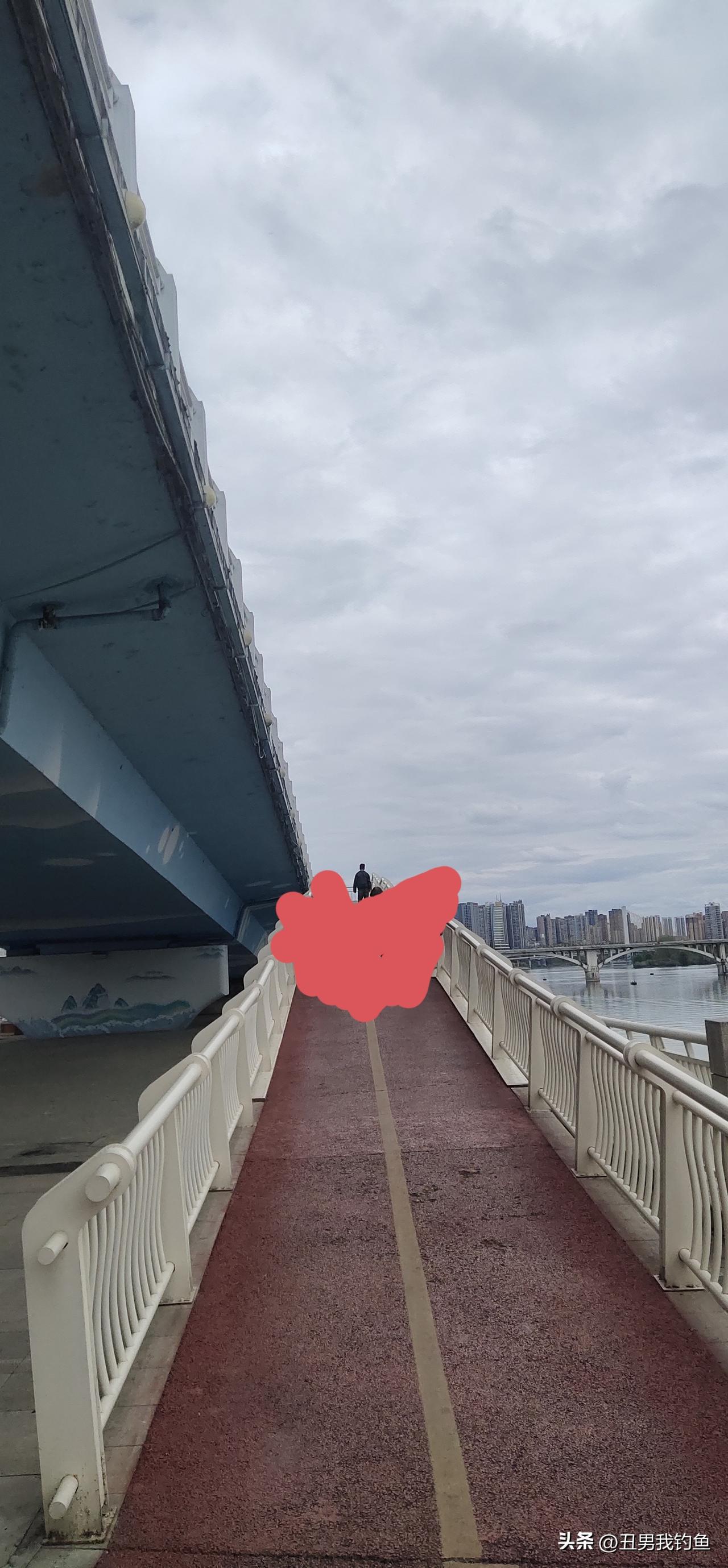 每天不钓鱼，就爱去江边散步。江风轻拂，那种感觉太惬意了。有次散步，看到江里一群鸭