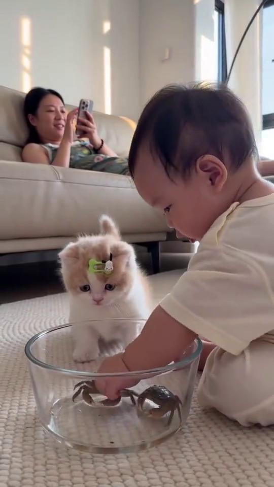 啊，啊，啊，啊，啊，啊，啊，啊，啊，啊，啊，啊，啊，啊，啊，啊。