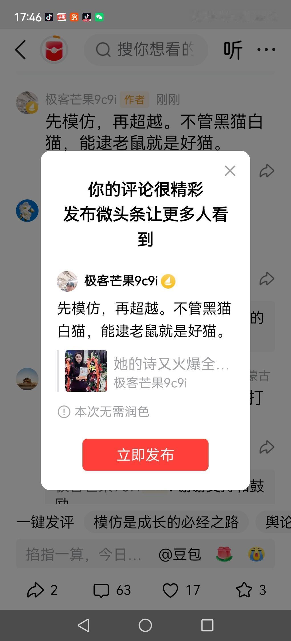 先模仿，再超越。不管黑猫白猫，能逮老鼠就是好猫。