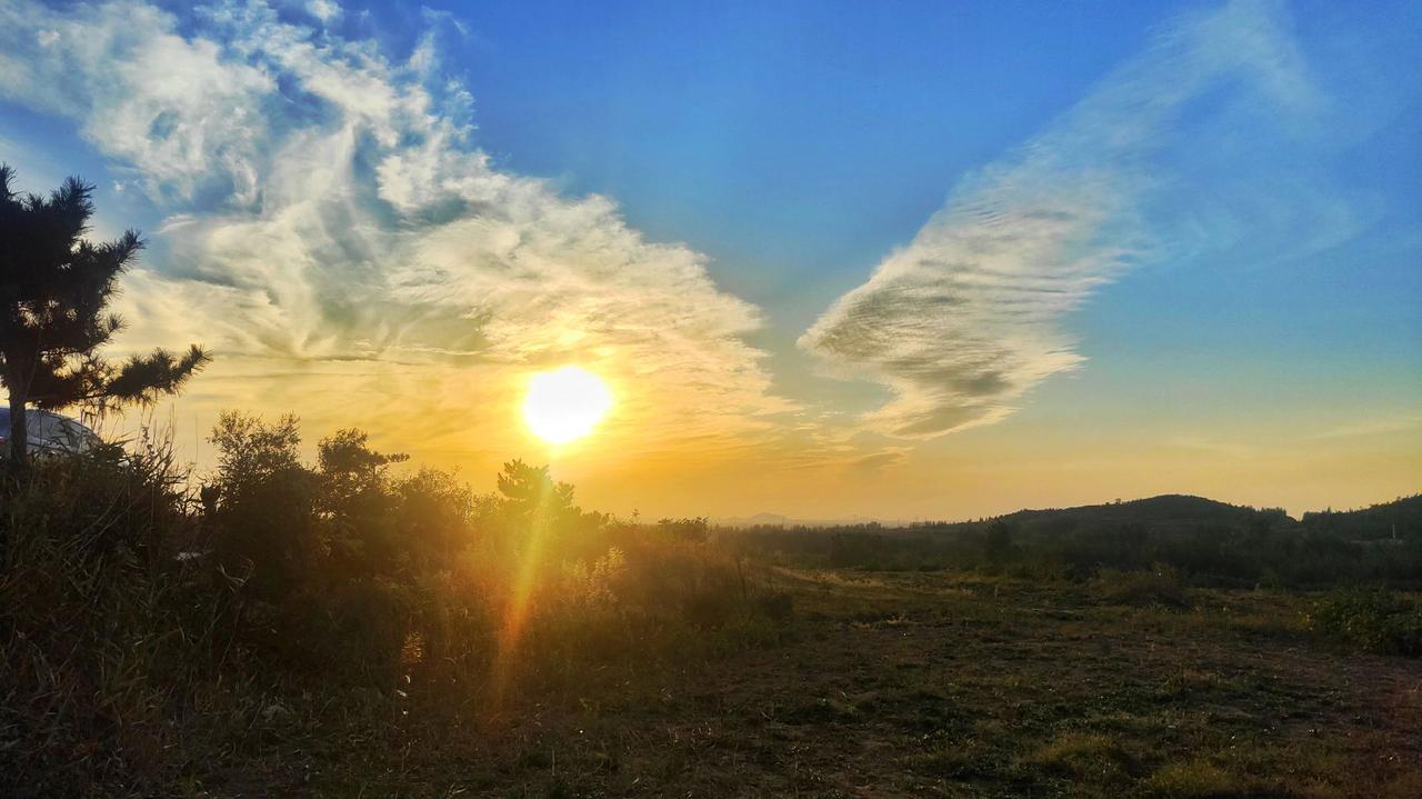 #老家#宁阳#山东#沿途风景随拍 #风景