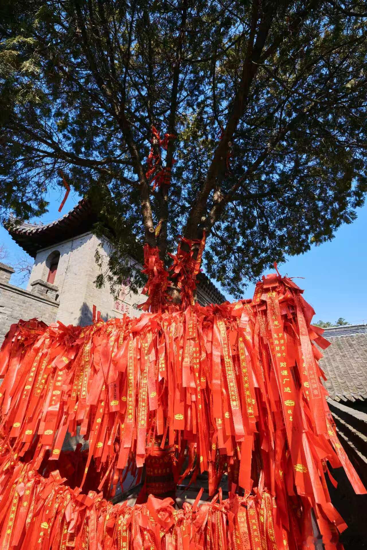 郭京飞兼职导游也太会了郭京飞导游副业藏不住了打卡大孤山不止有自然风光与人文古迹，