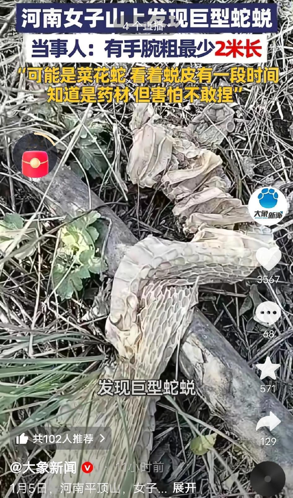 离谱到家了！魏大姐上山捡柴，一脚踢到个“软乎乎的东西”，低头一看直接吓破胆——竟