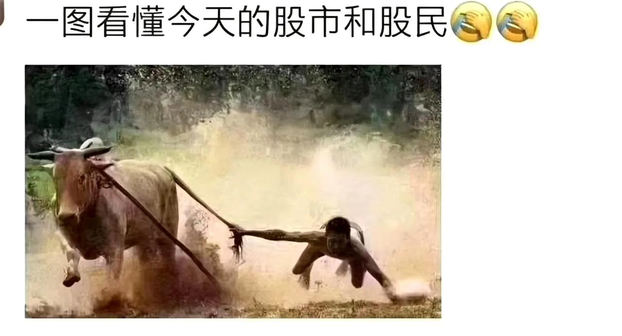 网友：前两天的股市，太形象了。。。[捂脸]