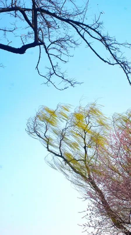 《春》乐韵诗心原创诗词:
春风春雨落春红，
春草春花春意农。
春暖春来春色美，