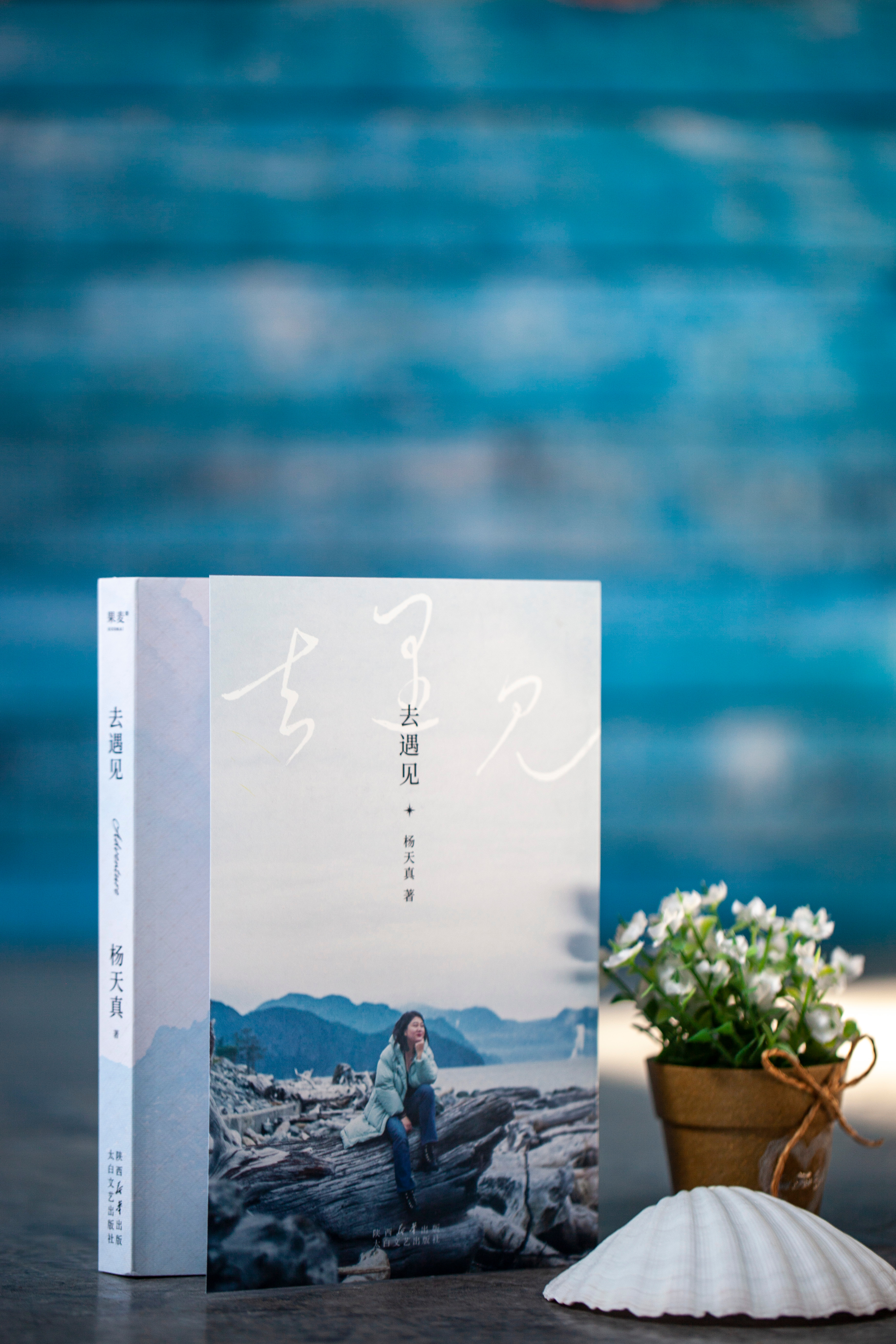 杨天真的这本《去遇见》不仅仅是一本旅行游记，更是一场向内探索自我的旅程。认识自己