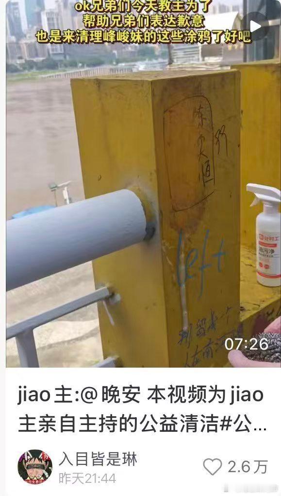 8月21日，重庆的网友开始在网上发起号召，自发组成自愿者，共同清理之前有关时代俊