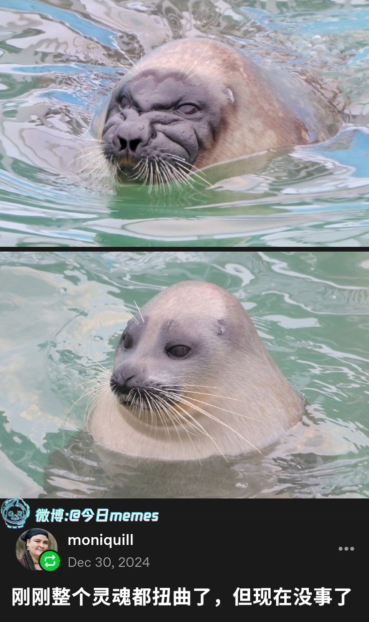 嗐一~~~（9gag）今日meme今日memes