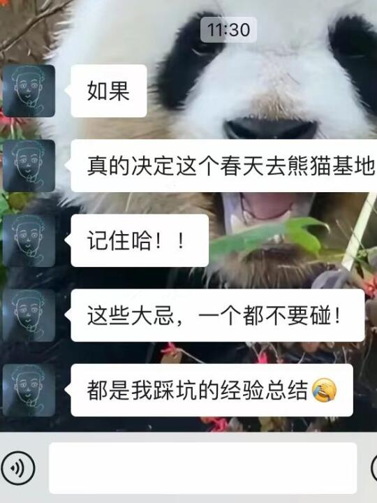 春天去熊猫基地别玩错了😭‼️