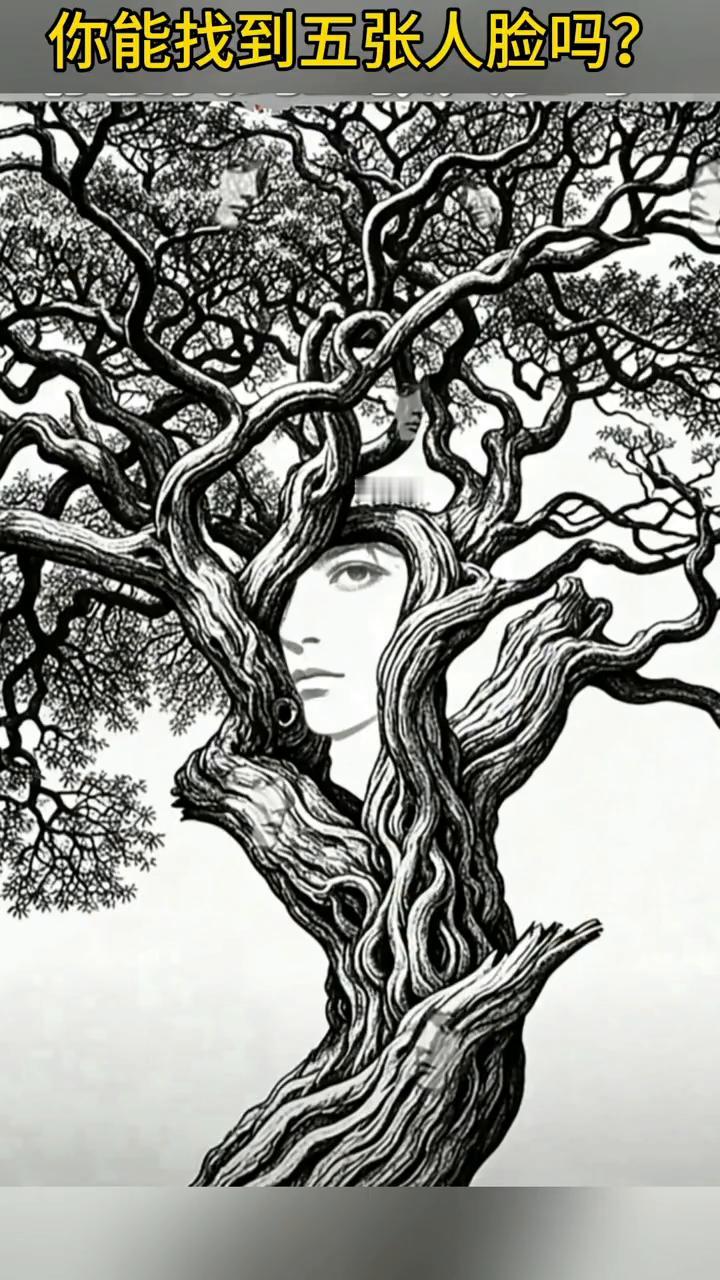 你能找到五张人脸吗？
来玩一个小游戏，测测你的眼力和脑子。这棵老树里躺了好多人脸
