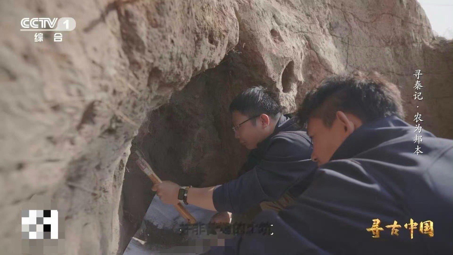 从3升土里淘出秦人食谱2000多年前的垃圾桶 穿越两千年的“外卖清单”！在魏家崖