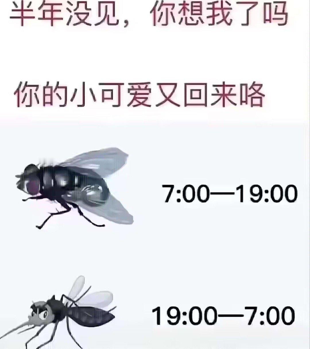 草啊啊啊啊啊啊 ​​​