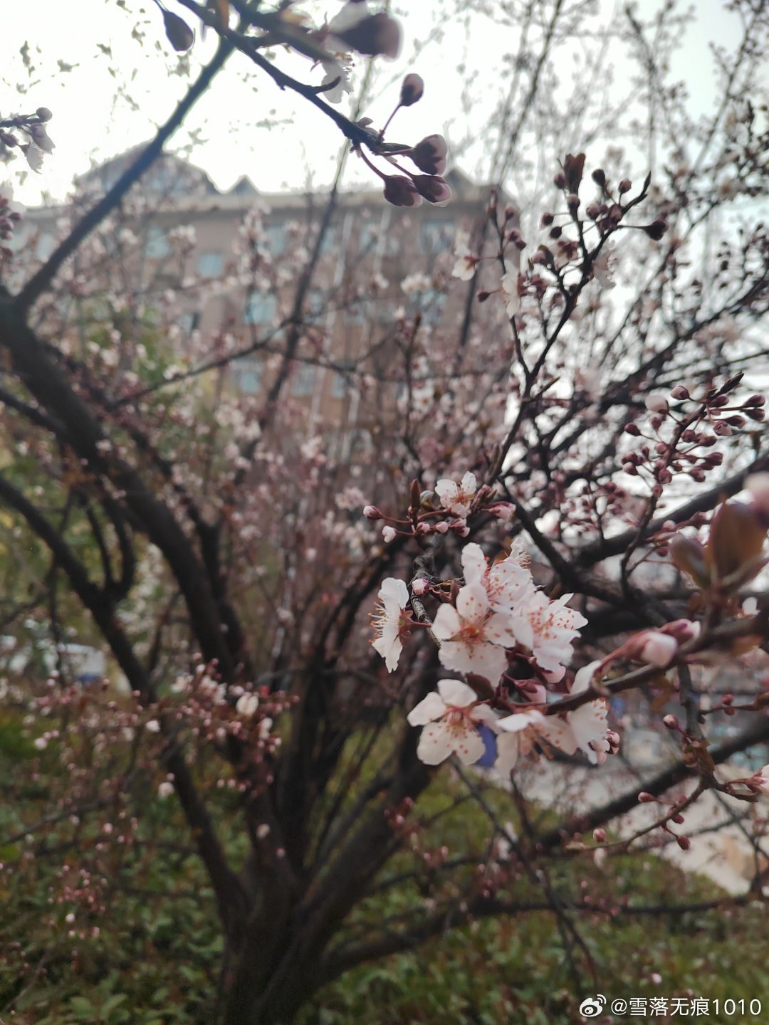 中午放学路上，小孩哥小心翼翼的说：妈妈，给你商量个事，不知道你同意不？啥事？我和