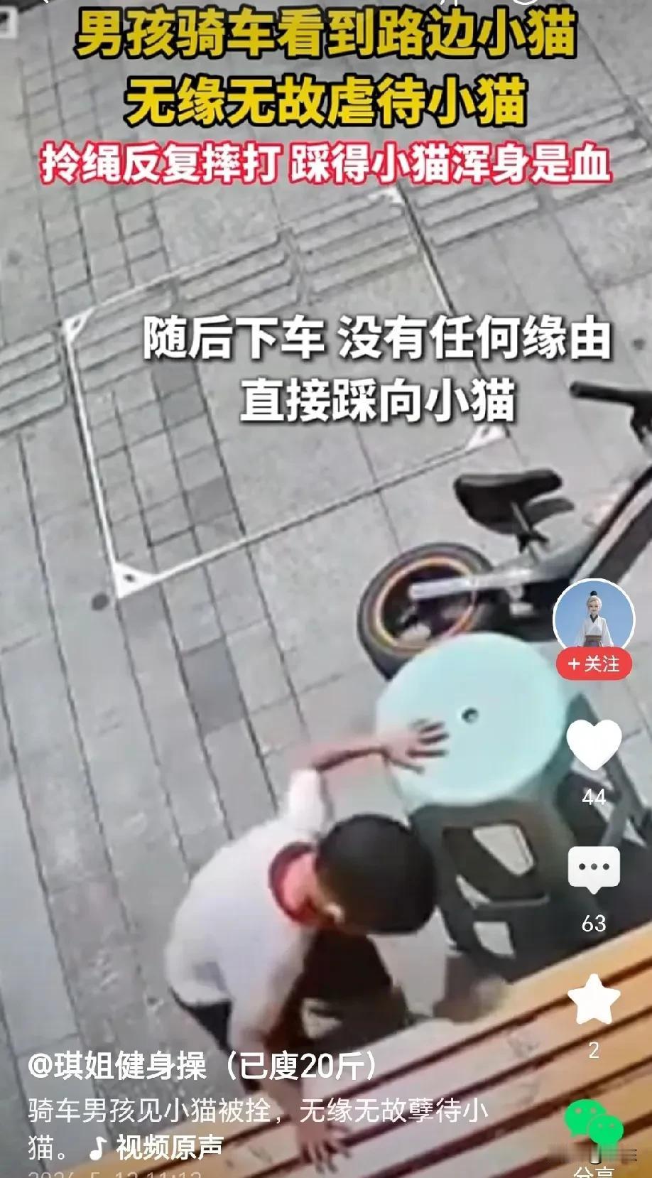 万万没想到！男孩骑车路过店铺门口时，看到路边有只小猫，他停下车，然后没有任何缘由