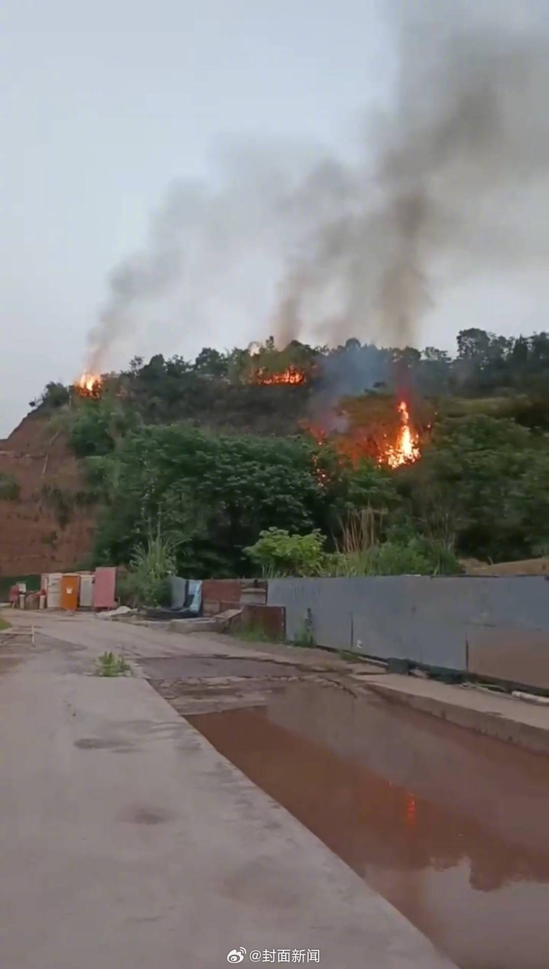 【#村民乱扔烟头引发山火被罚500元#】5月24日晚，四川安岳，有网友发视频称，