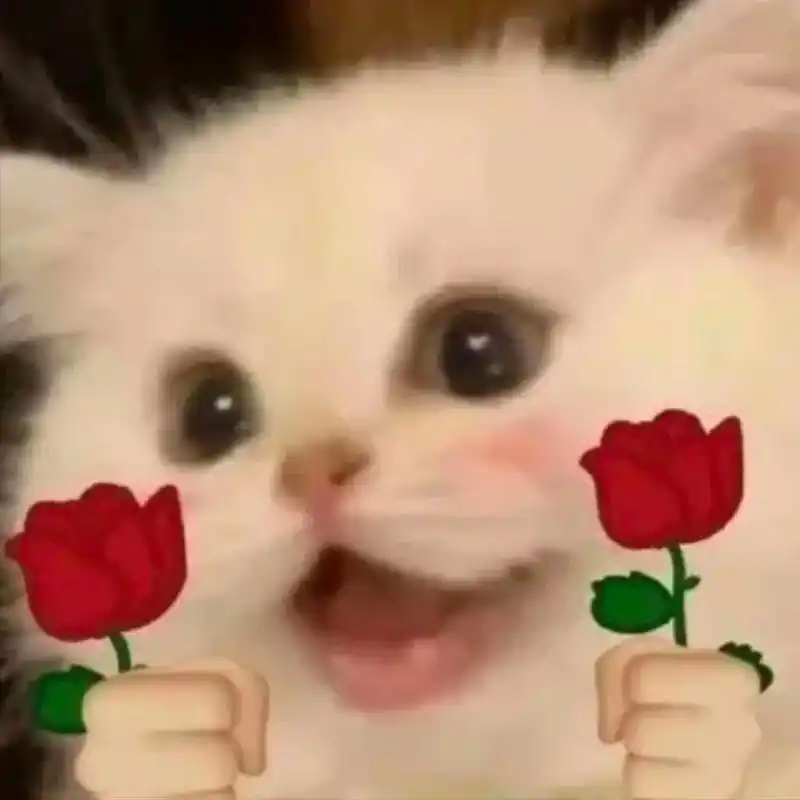 每天一条冷知识 蜜蜂和人类不同，缺乏对红光敏感的受体，它们可以接收的是紫外光、蓝