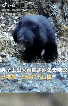 命不是一般的大！重庆，一男子进山摘蘑菇时，竟意外遇到一头黑熊，不仅小腿被咬到，还