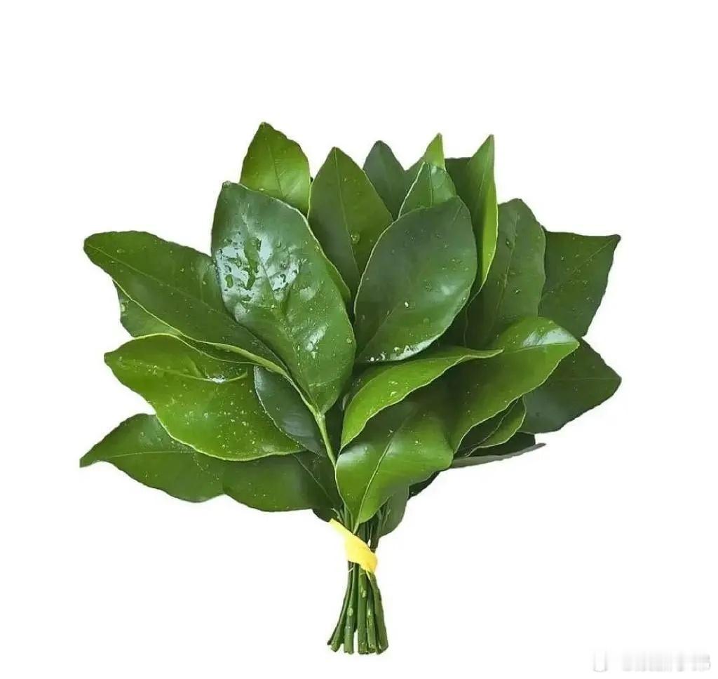 晦气 ​​走开，好管用！现在的情况就是你撒娇卖萌就没用[哇][哇][哇] ​​​