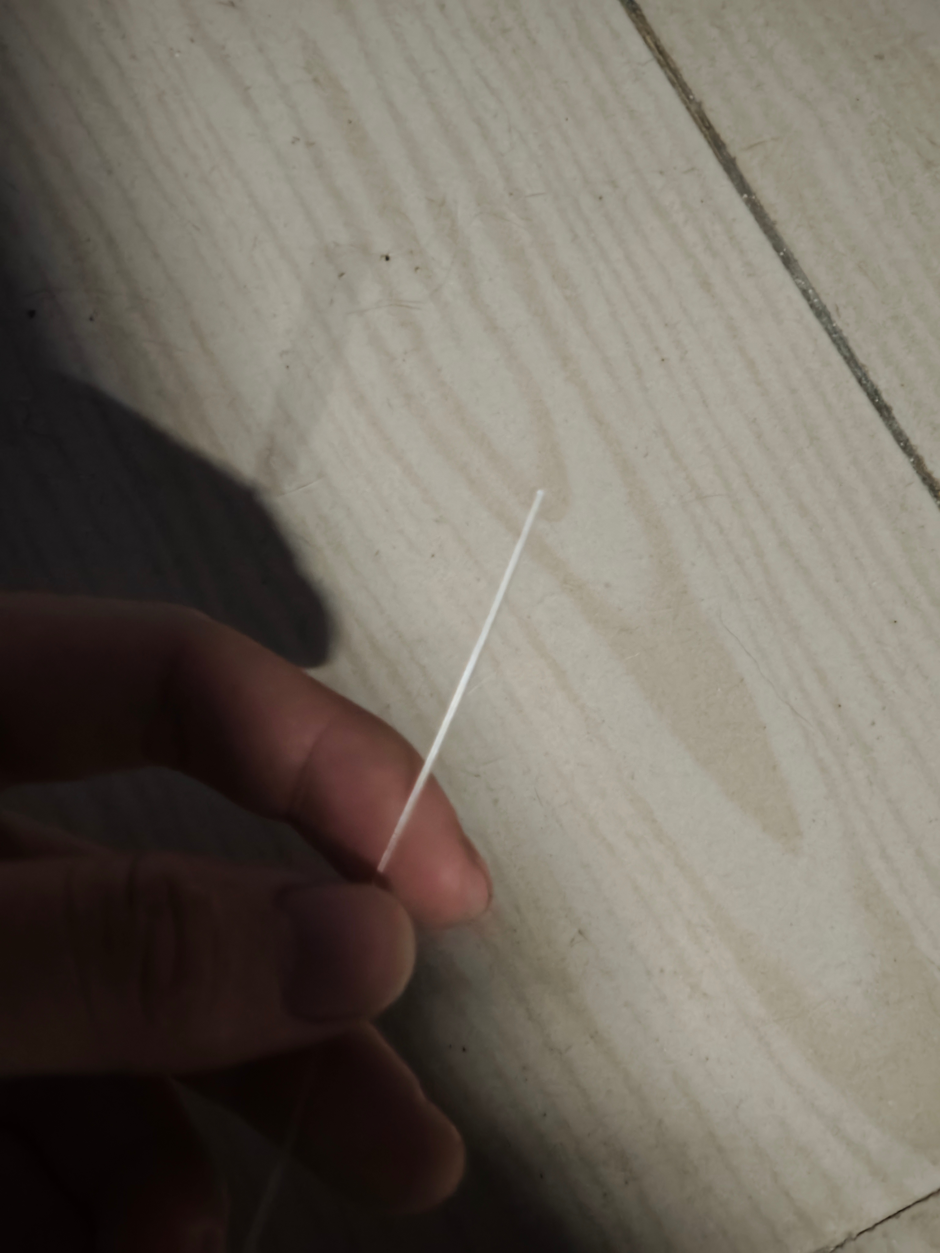 我tm裂开了，家里猫把我的光纤线给扒了[吐] 