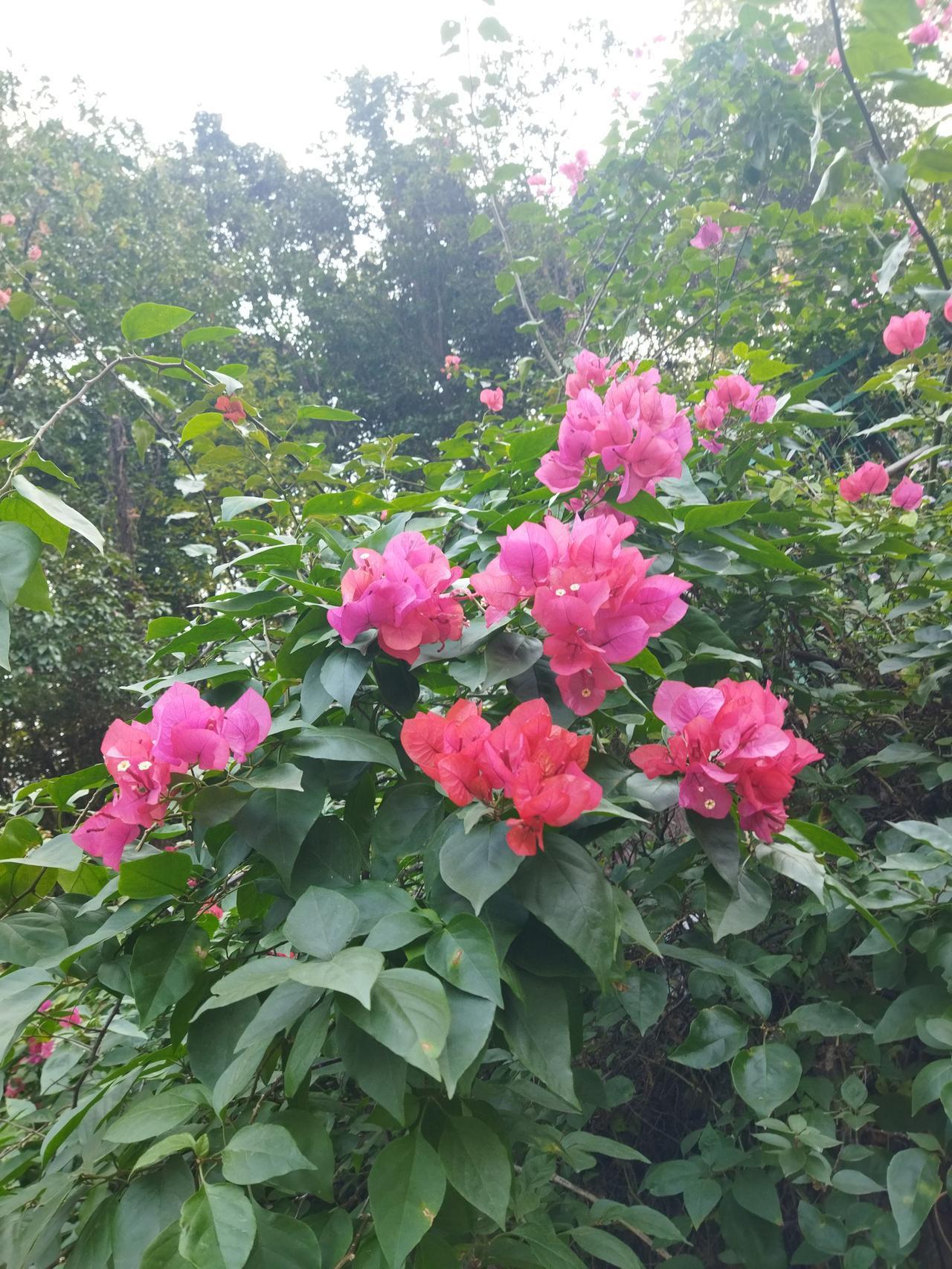 晒图笔记大赛一切都是最好的安排。