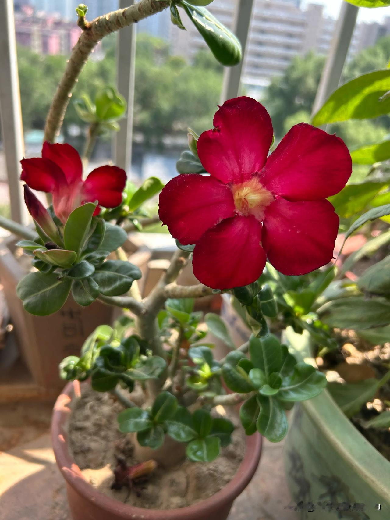 上午在超市挑蔬菜，注意力全在货架的青菜上，冷不丁被人拍了下肩膀。回头一看，竟是多